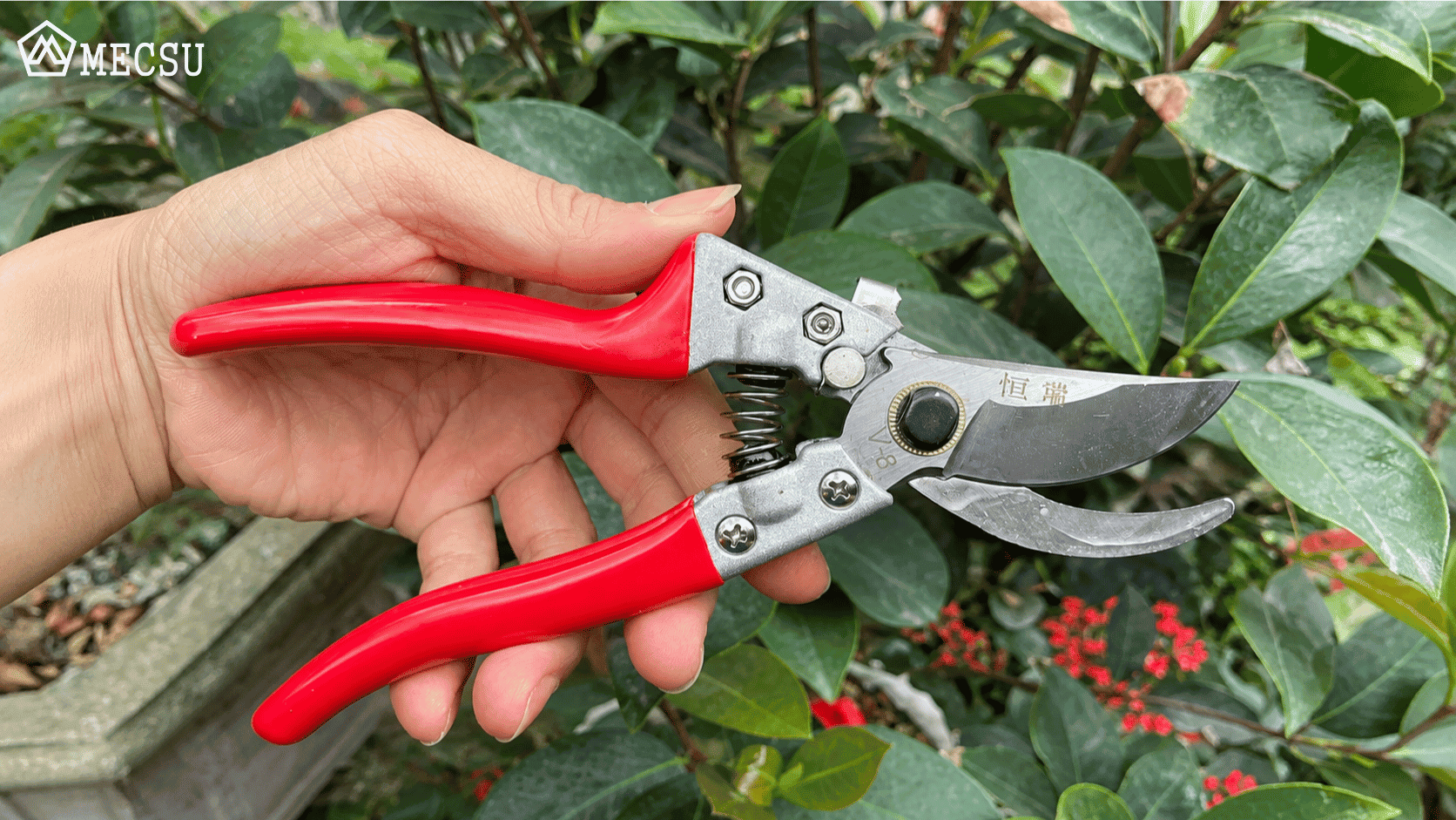 Cấu tạo của kéo cắt cành
